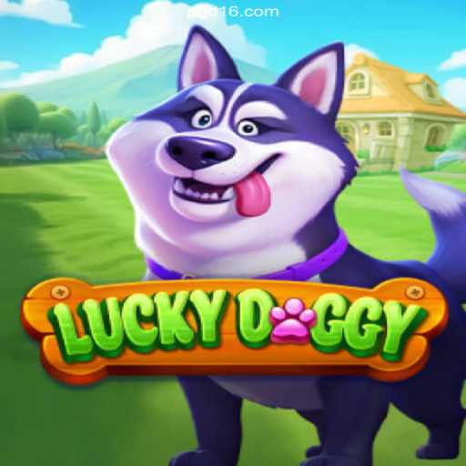 Experience the Thrill of LuckyDoggy on D16.COM: The #1 Betting Platform in Brazil